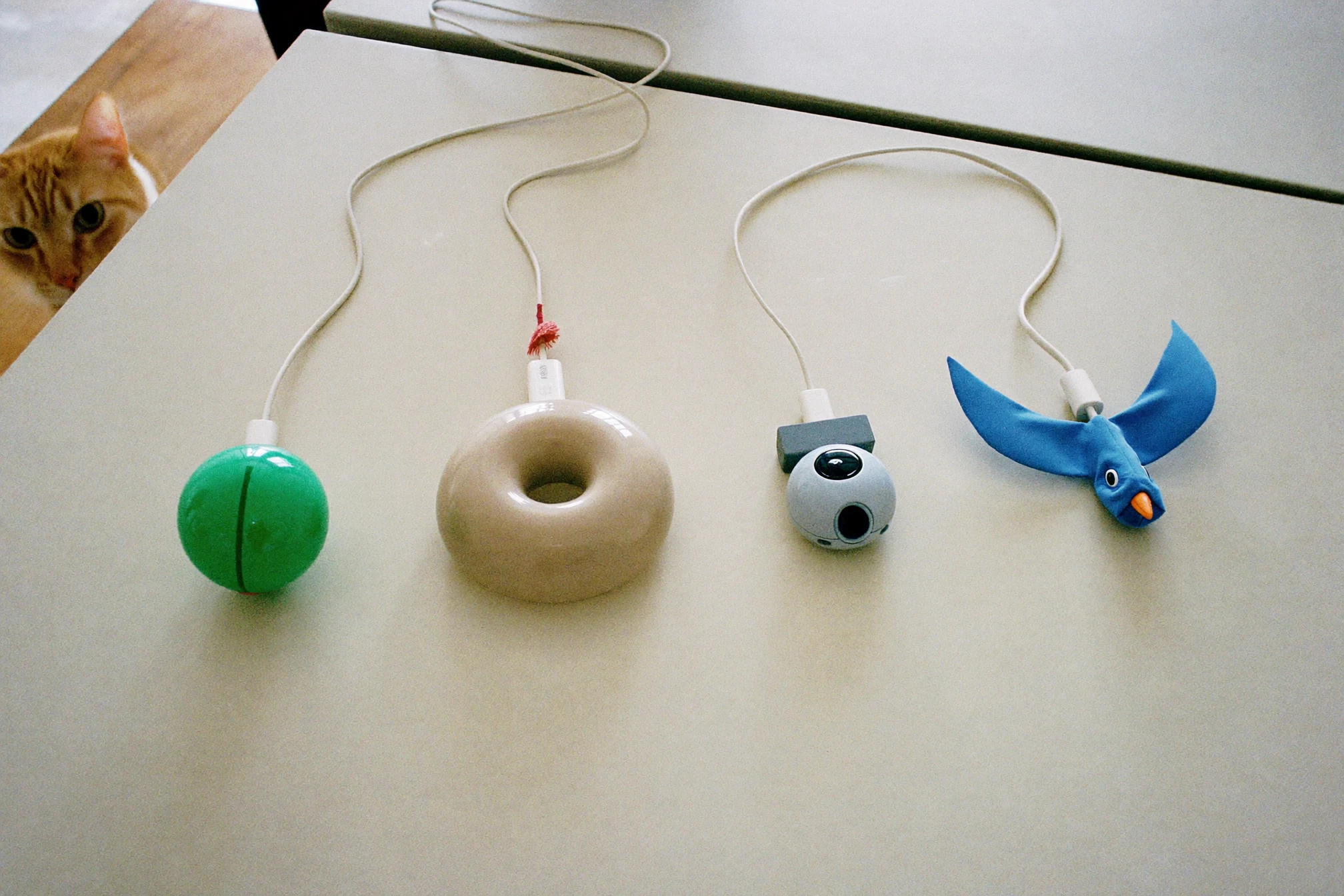 Electronic Cat Toys: A Safety-First Guide to Smarter Play