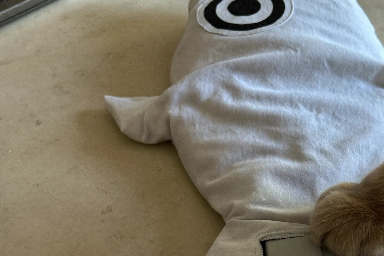 Generic floppy fish cat toy opened beside its removable motor module