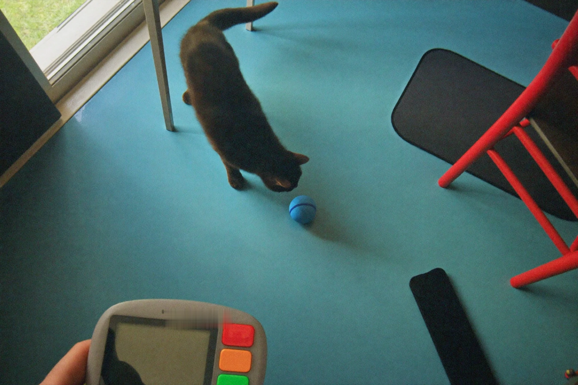 Overhead view of a remote-control cat toy route and handheld controller